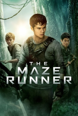 ดูหนัง The Maze Runner (2014) วงกตมฤตยู