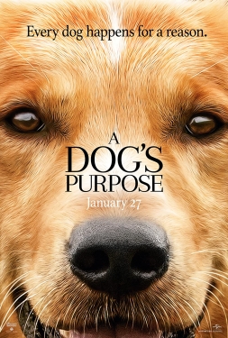 ดูหนัง A Dog’s Purpose (2017) หมา เป้าหมาย และเด็กชายของผม