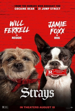 ดูหนัง Strays (2023) ชีวิตหมาต้องไม่หมา