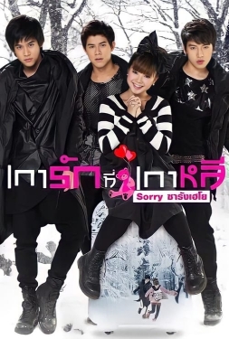 ดูหนัง Sorry Saranghaeyo (2010) เการักที่เกาหลี