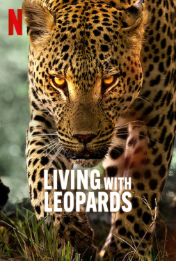 ดูหนัง Living with Leopards (2024) อยู่กับเสือดาว