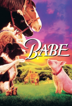 ดูหนัง Babe (1995) เบ๊บ หมูน้อยหัวใจเทวดา